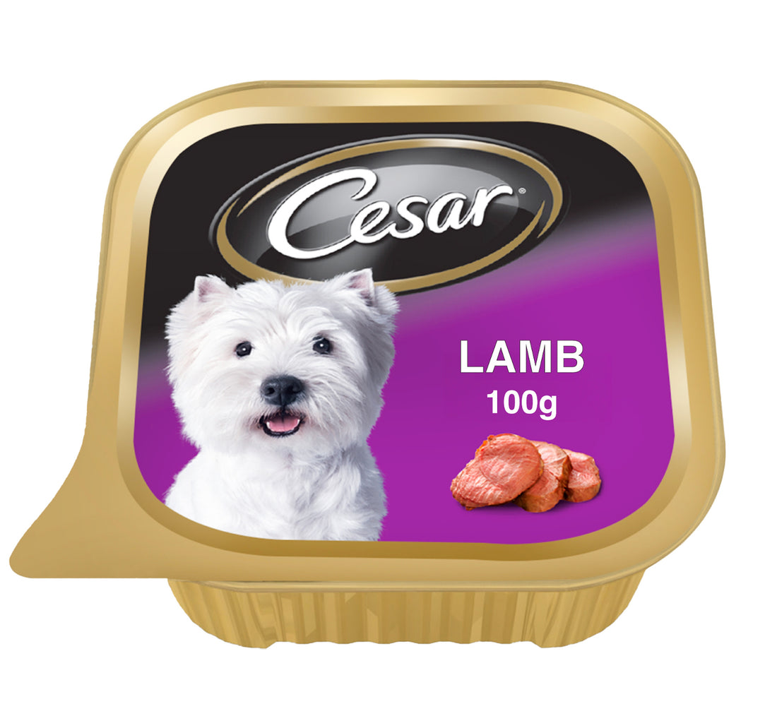Cesar Lamb Dog Wet Food 100 g