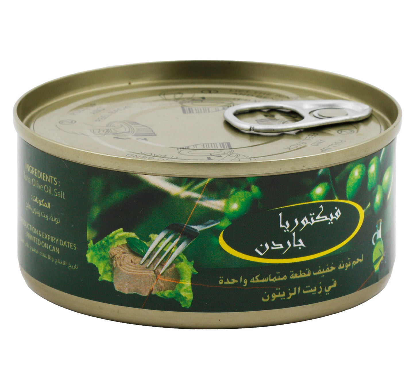 Victoria Garden Light Meat Tuna Solid In Olive Oil 160 g