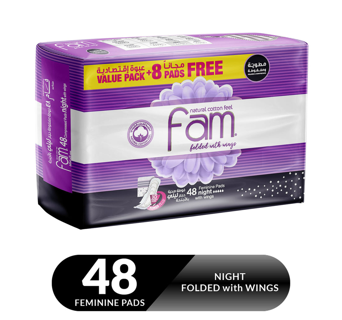 Fam Night Sanitary Pads Folded With Wings 48 pcs