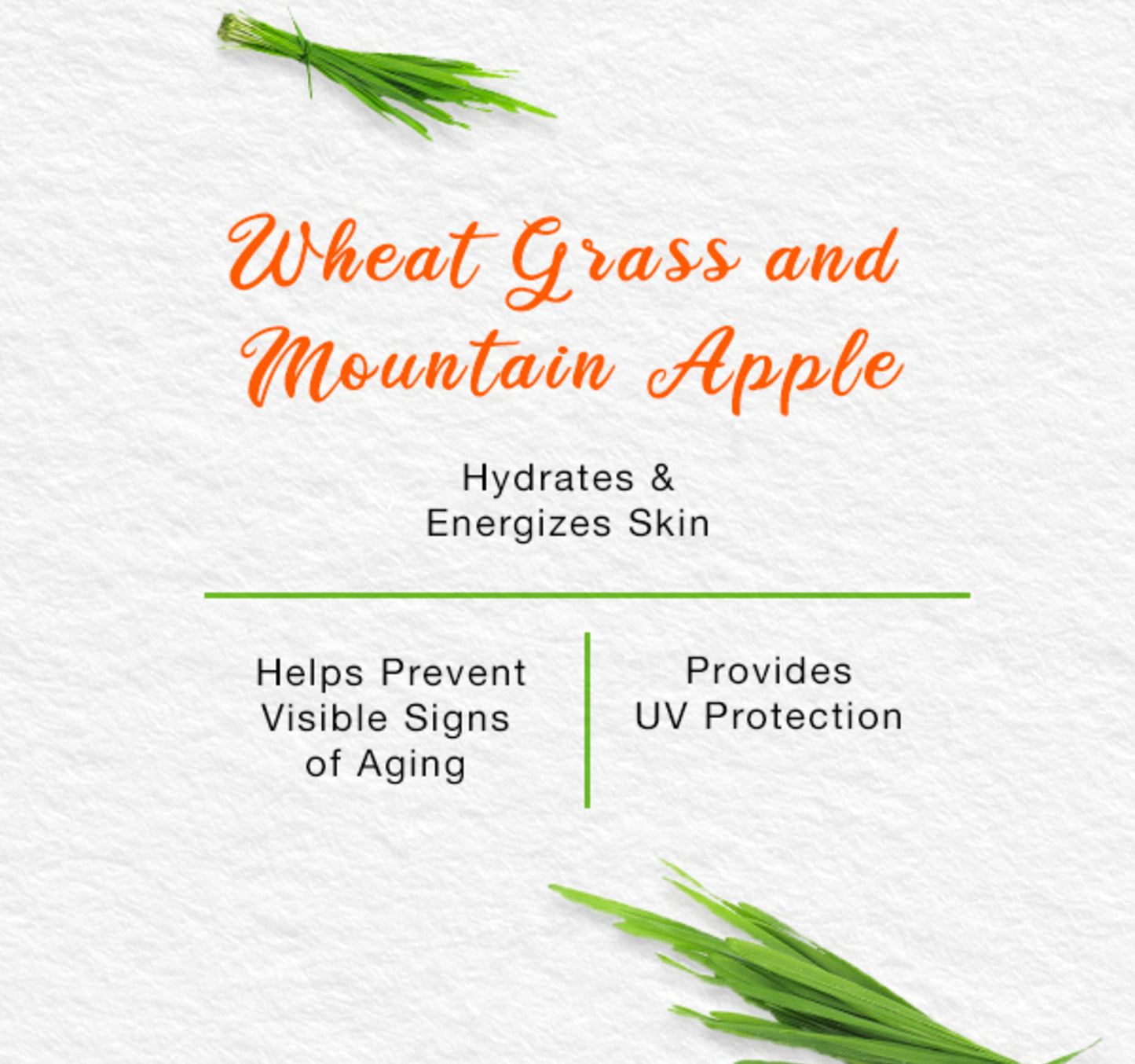 Himalaya Energizing Day Cream 50 g