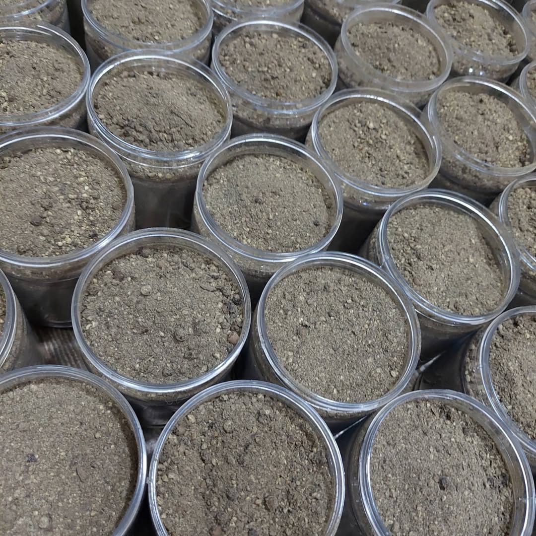 Ground black pepper