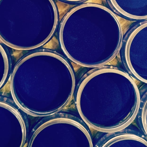 Blue food color
