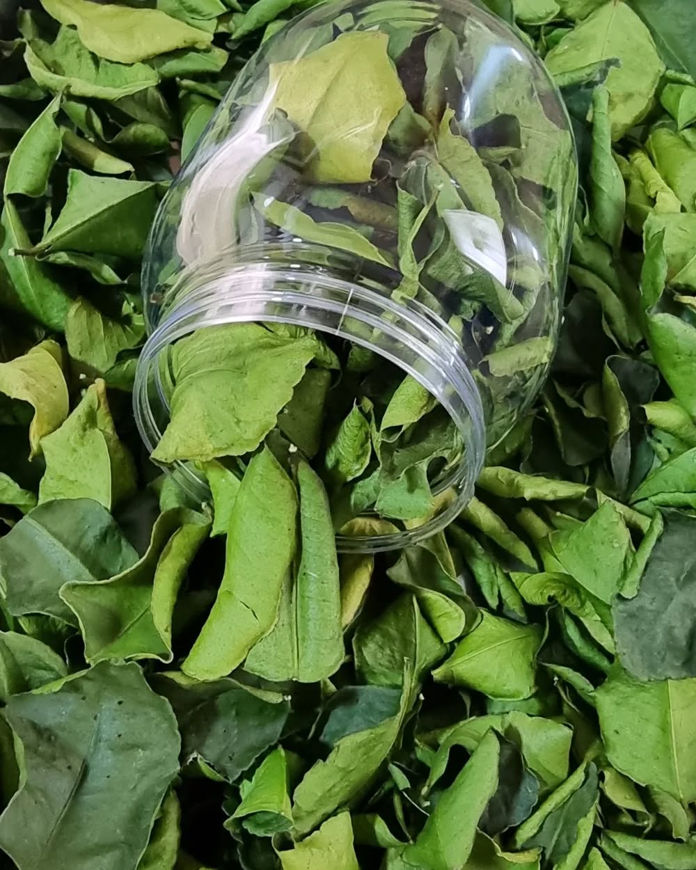 Dried Thai lime leaves