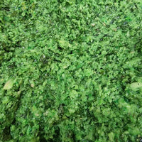 Garlic Paste with Herbs Shefs