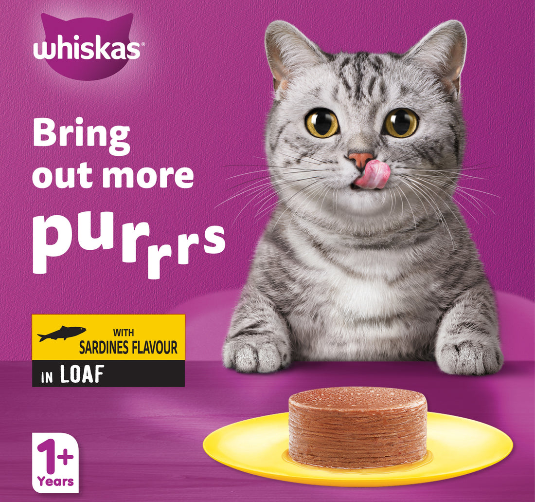Whiskas Sardines Flavour in Loaf Can Cat Food for Adult Cat 1+ Years 400 g
