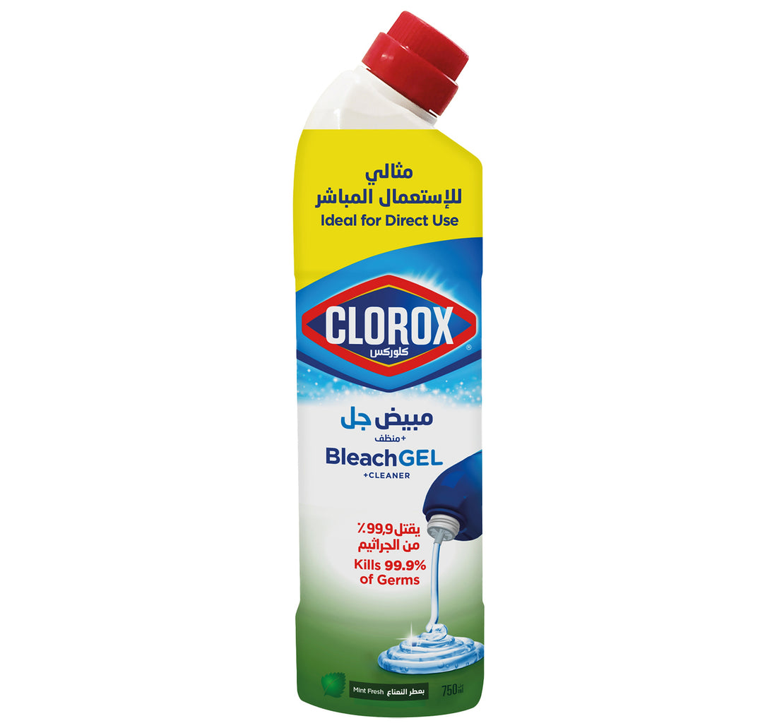 Clorox Mint Fresh Beach Gel Cleaner 750 ml