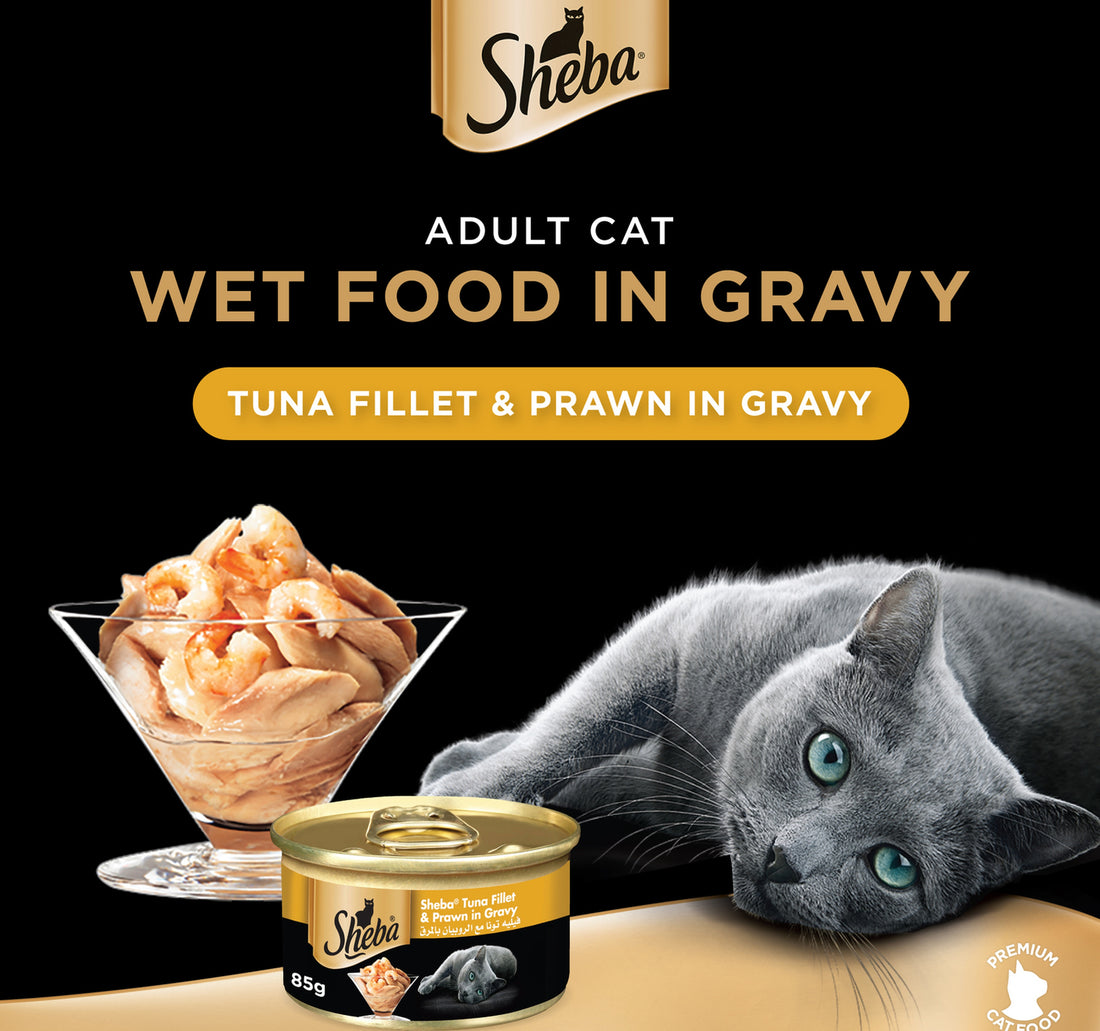 Sheba Tuna Fillet and Prawn in Gravy Cat Food 85 g