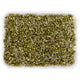 Beans Sprout 1 pkt