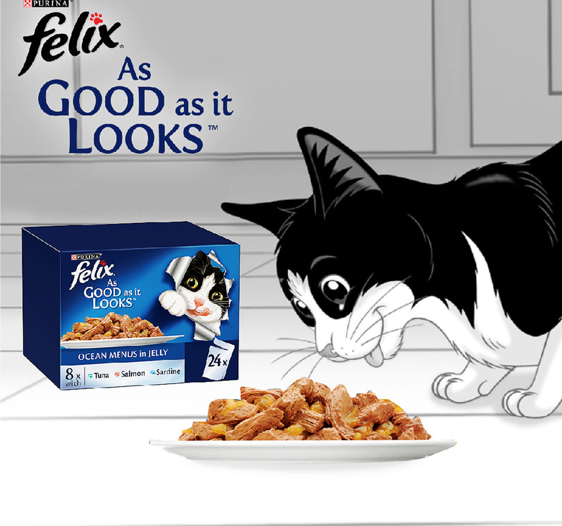 Purina Felix As Good As It Looks Ocean Menus In Jelly ( Tuna Salmon Sardine ) 12 x 85 g