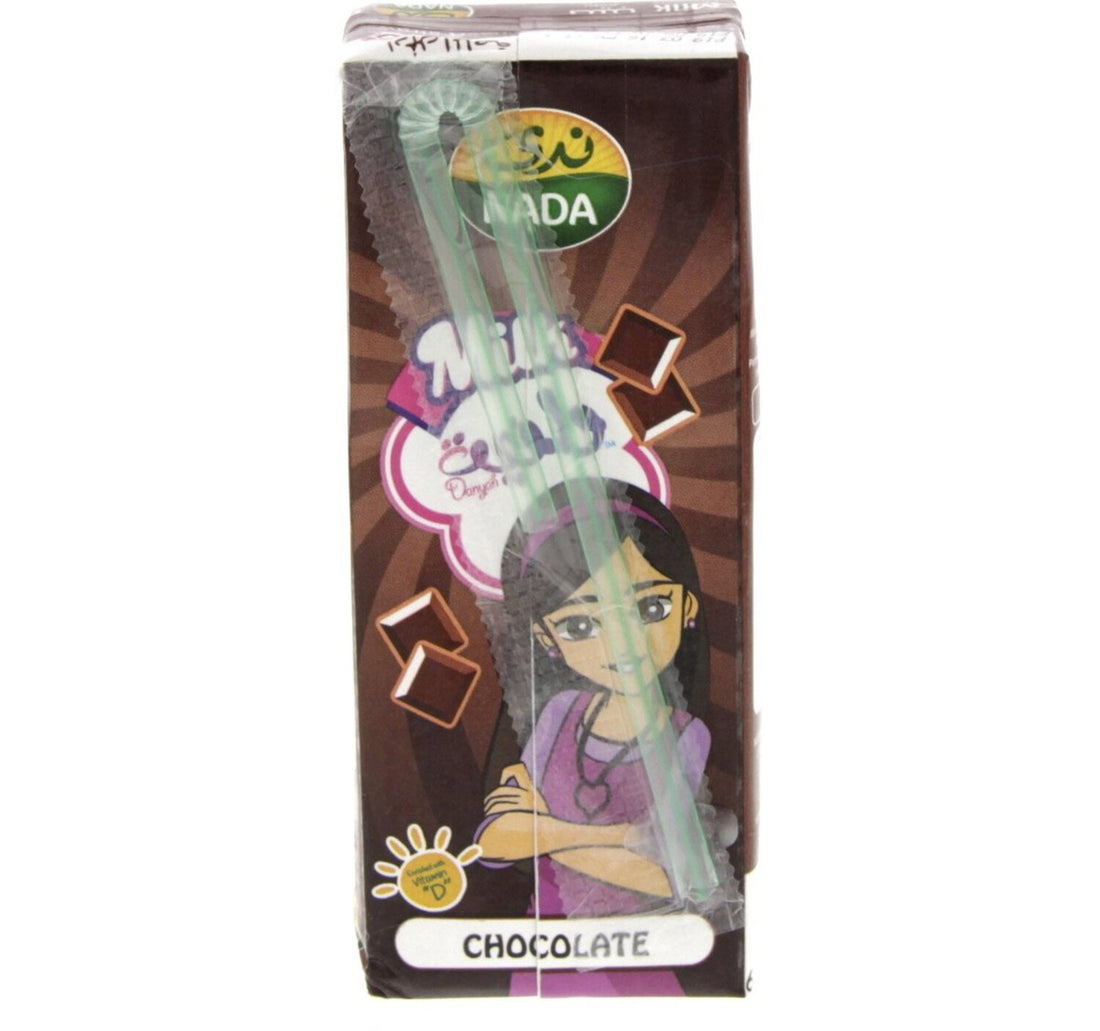 Nada Chocolate Long Life Milk 6 x 185 ml