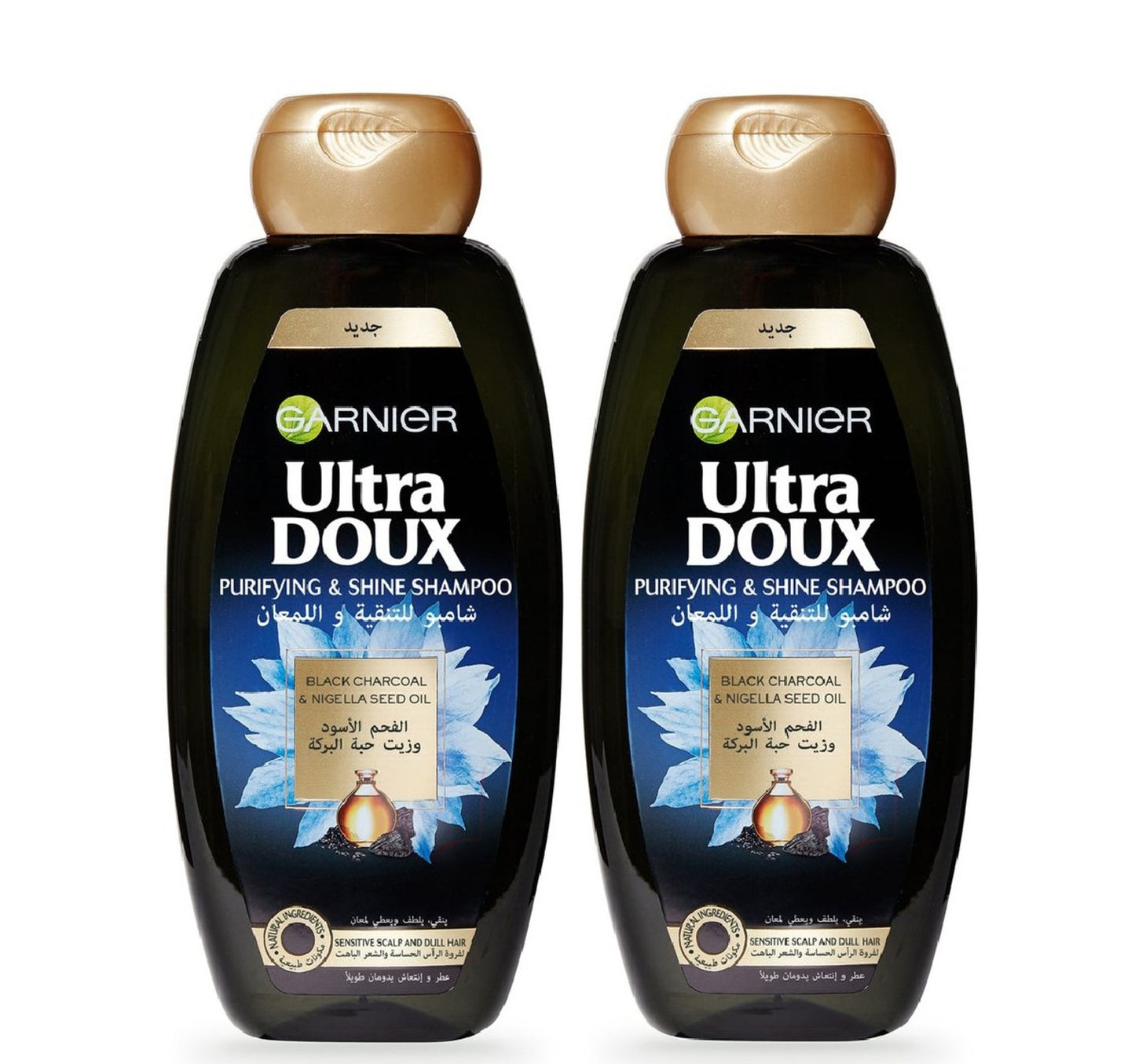 Garnier Ultra Doux Shampoo Black Charcoal & Nigella Seed Oil 2 x 400 ml