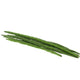 Drumstick India 200 g