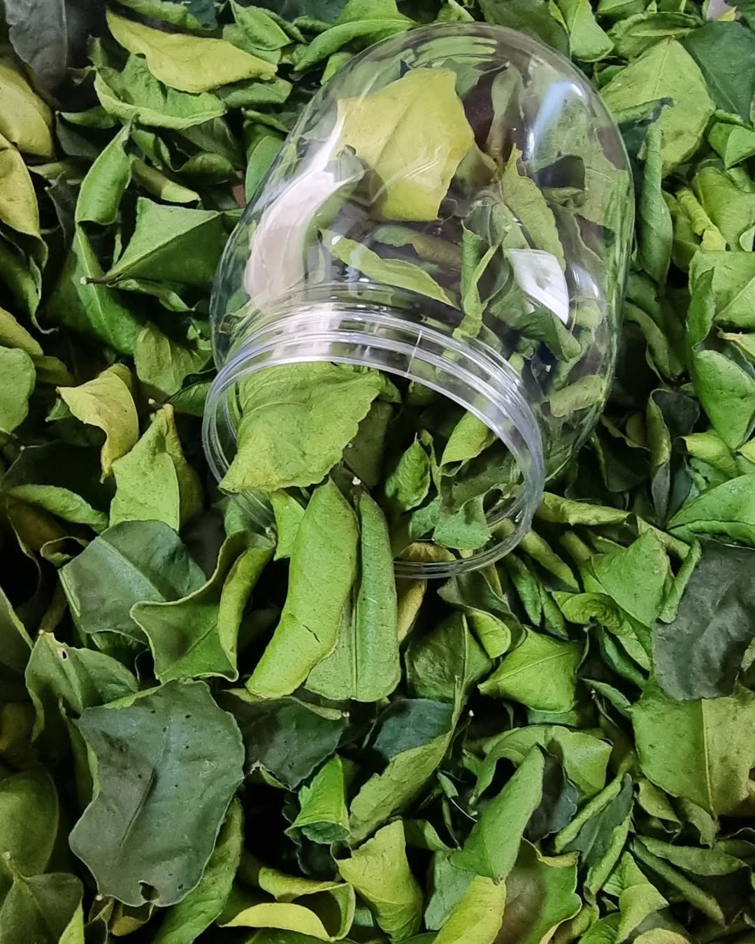 Dried Thai lime leaves