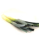 Leeks Holland 1 pc