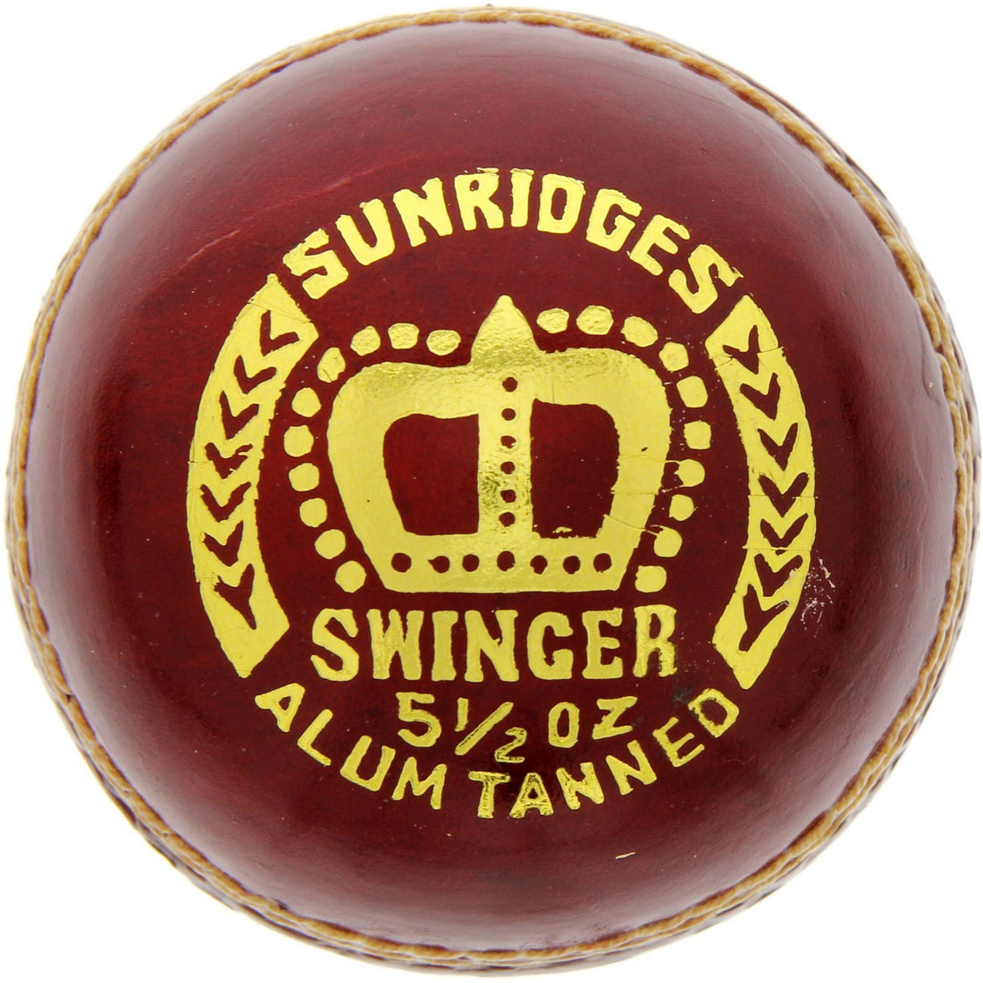 SS Cricket Ball Swinger 10030019