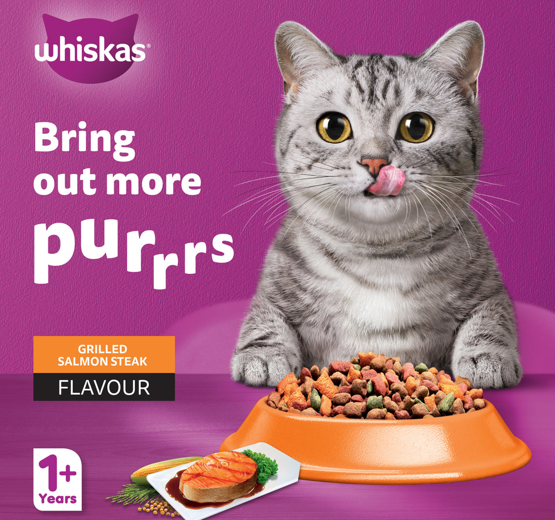 Whiskas Grilled Salmon Steak Flavour Dry Food for Adult Cat 1+ Years 1.2 kg