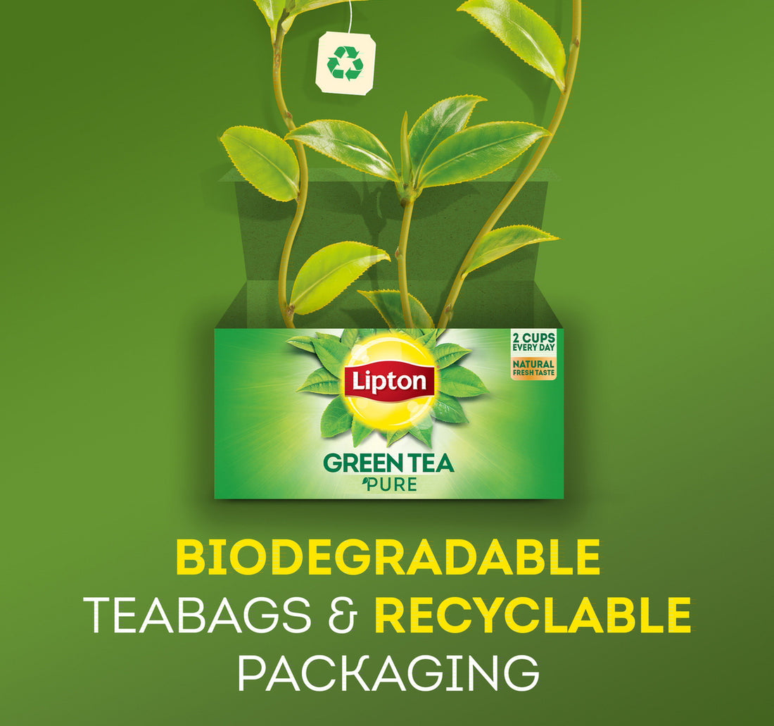 Lipton Green Tea Mint Value Pack 50 Teabags 65 g