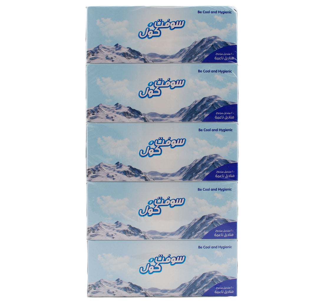 Soft N Cool Soft Facial Tissue 2 Ply 200 Sheets 4 + 1
