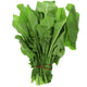 Palak Leaves 1 Bunch