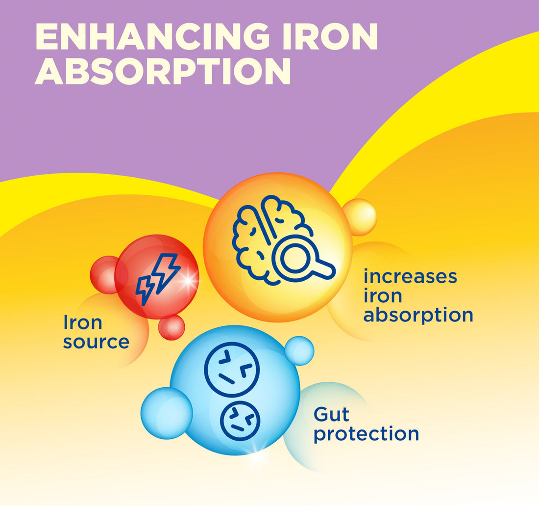 Bebelac Nutri 7in1 Stage 2 Follow On Formula From6-12 Months 1.2 kg