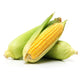 Sweet Corn Big 1 kg