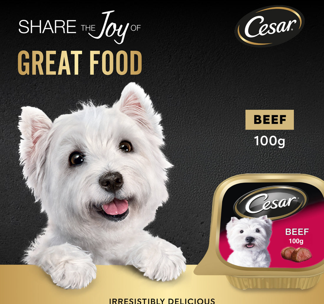 Cesar Beef Dog Wet Food 100 g
