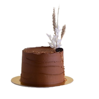 Specialty Cake Lily's Cupcake