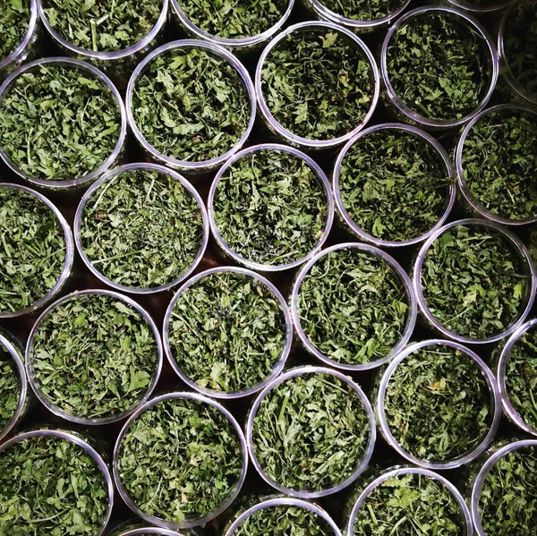 Shefs-All Spice Blends Shefs