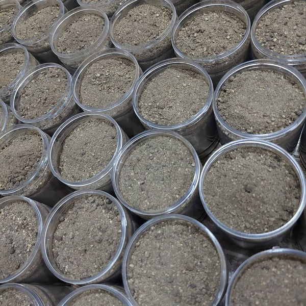 Shefs-All Spice Blends Shefs