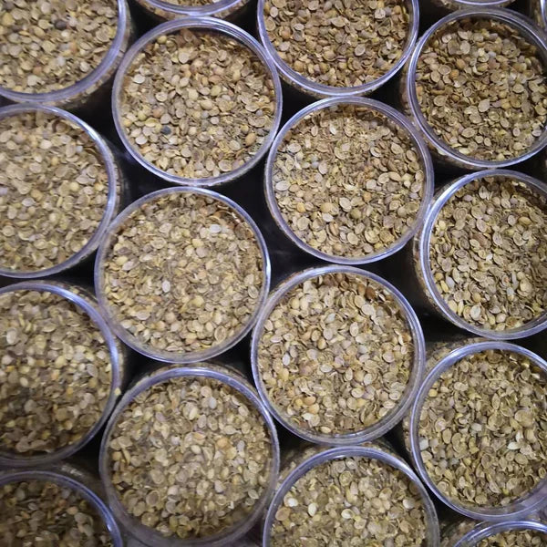 Shefs-All Spice Blends Shefs