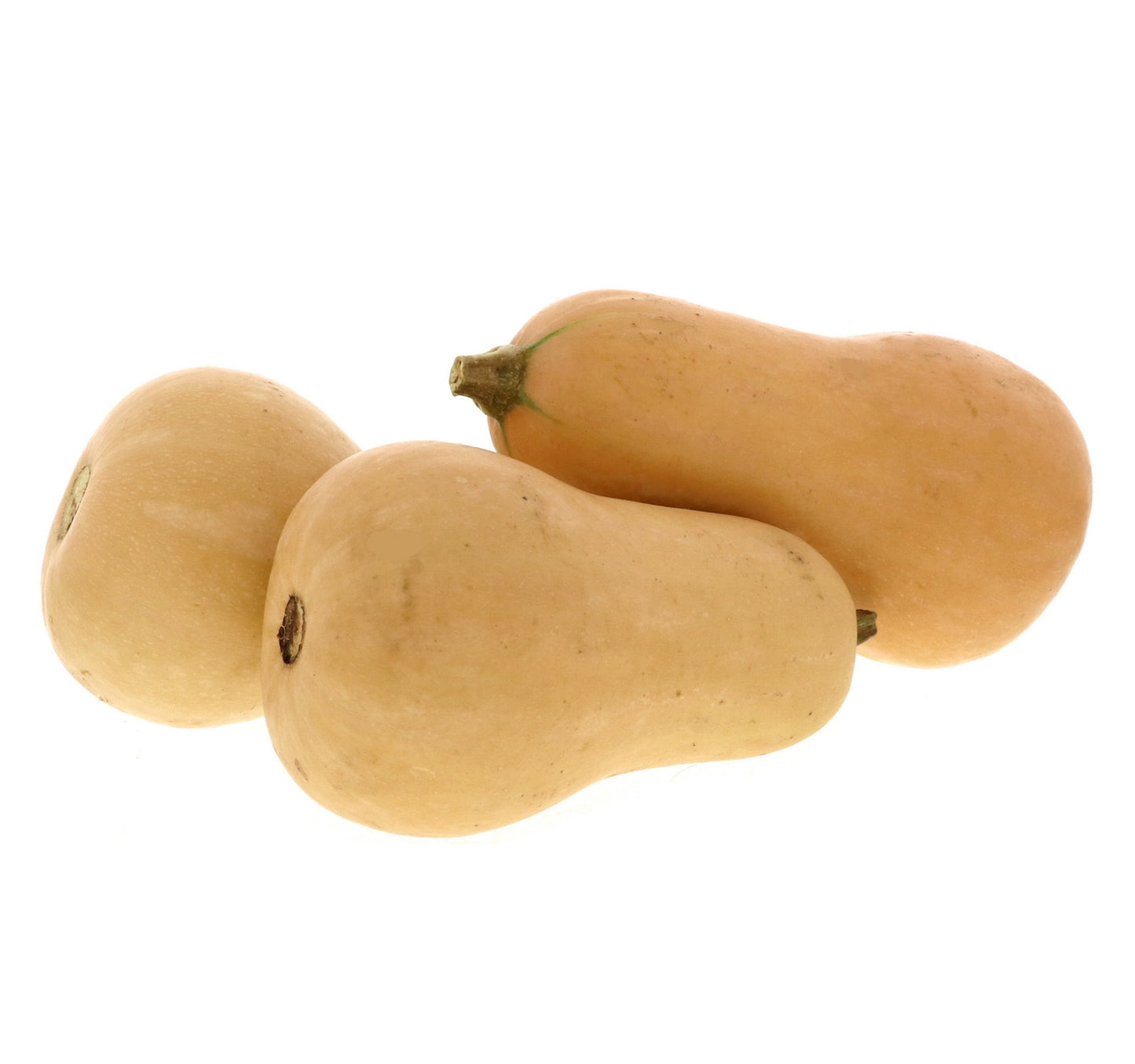 Butternut Pumpkin 1.5 kg