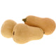 Butternut Pumpkin 1.5 kg