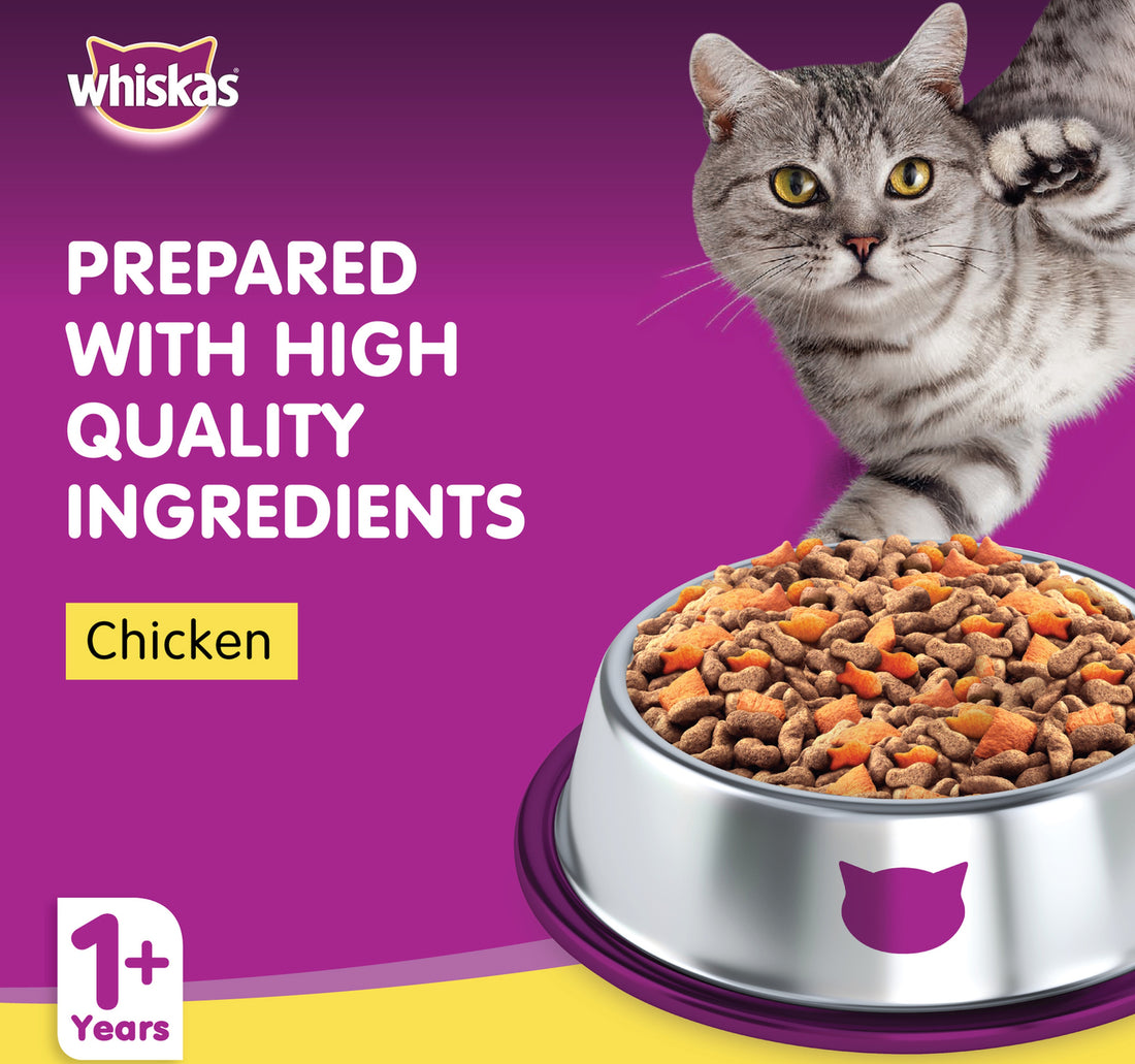 Whiskas Chicken Dry Cat Food for Adult Cats 1+ Years 480 g