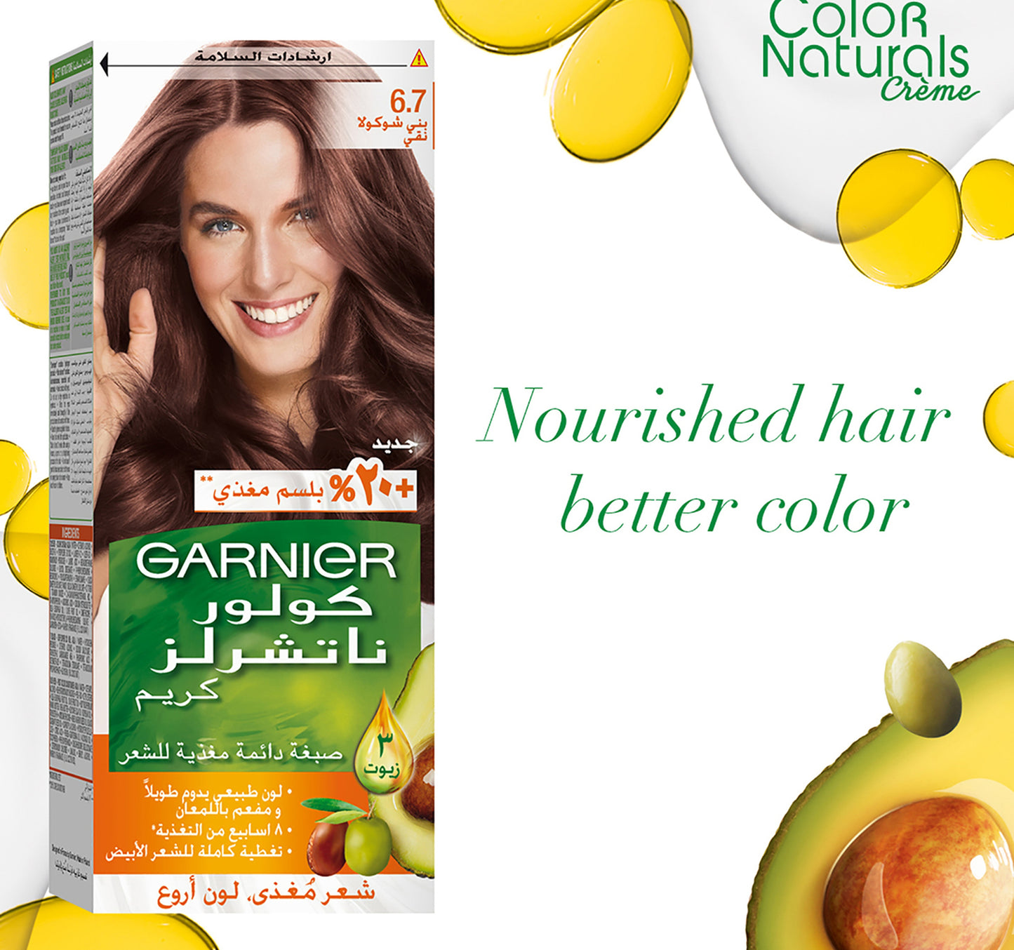 Garnier Color Naturals 6.7 Chocolate Brown 1 pkt