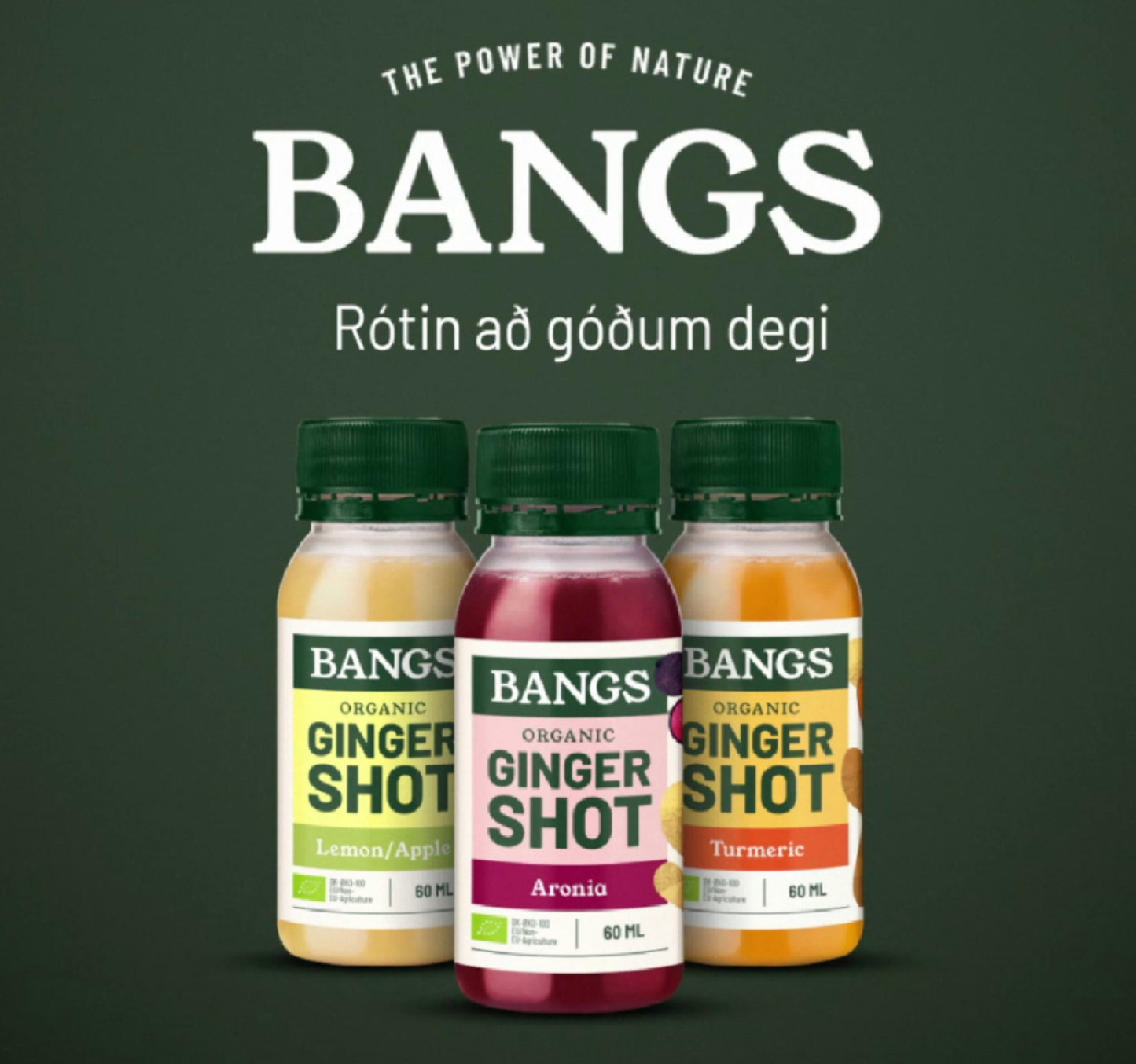 Bangs Organic Ginger Shot Turmeric 60 ml