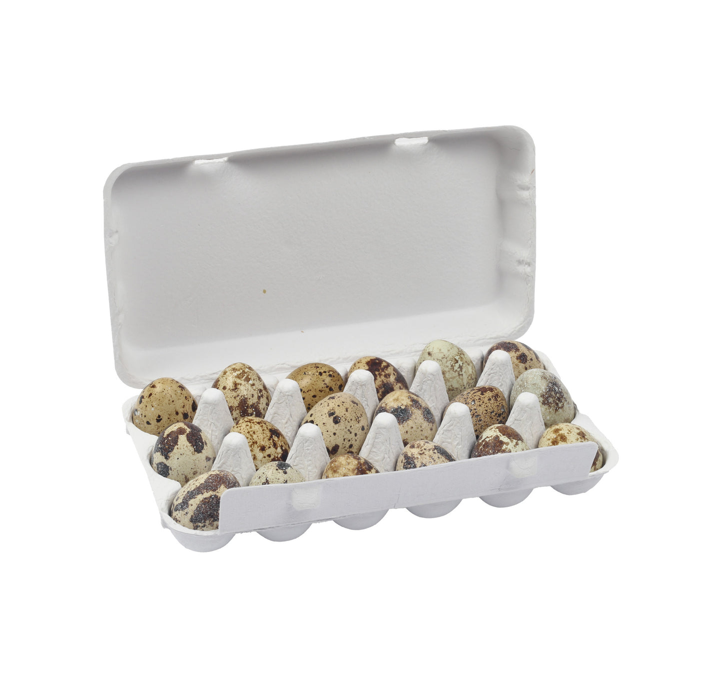 Wadi Quail Eggs 18 pcs