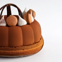 Specialty Cake Lily's Cupcake