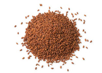 All Whole Spice Shefs