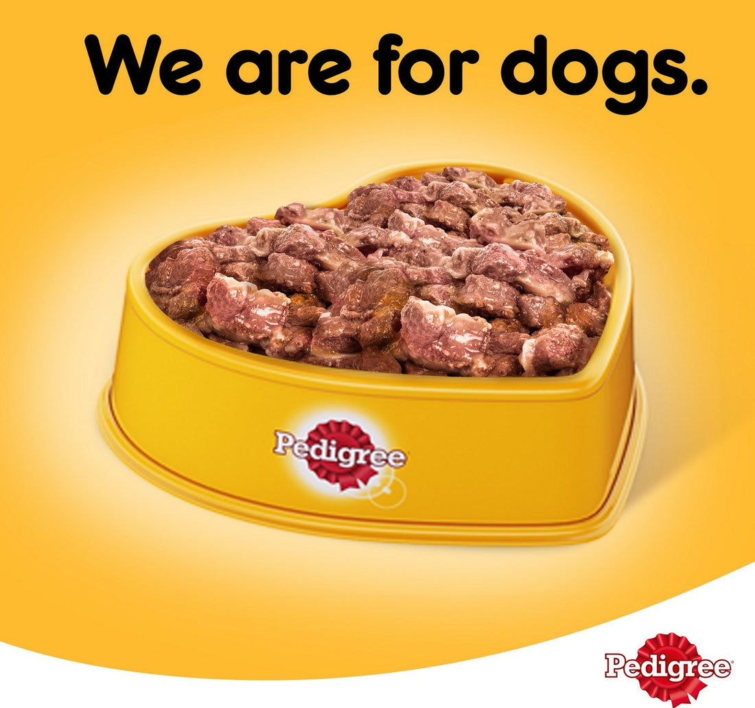 Pedigree Chicken Loaf Wet Dog Food Can 400 g