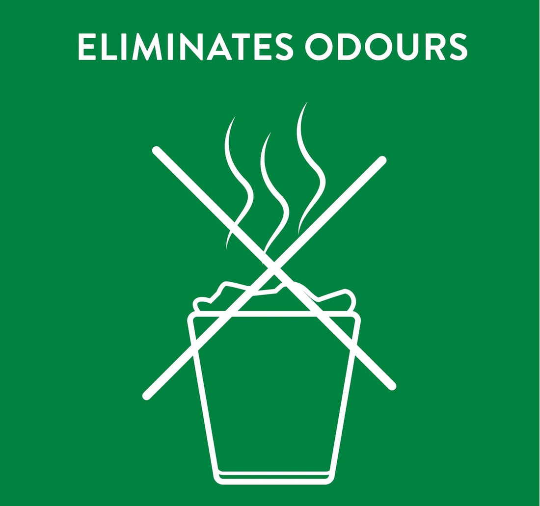 Airwick Freshmatic Auto Spray Pure Cherry Blossom Value Pack 250 ml