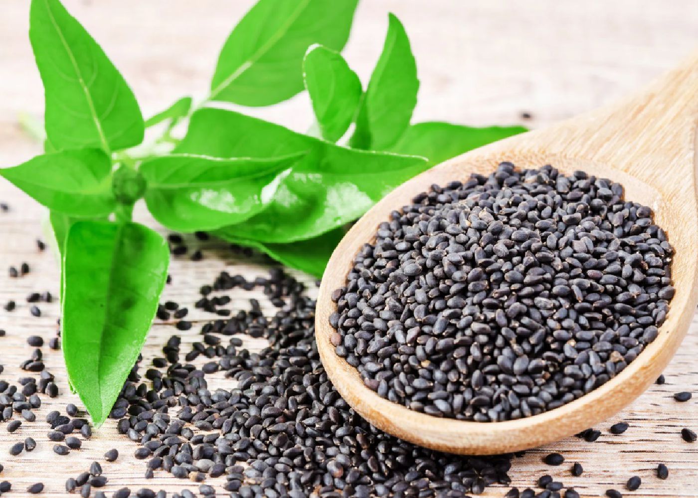 Basil Seeds