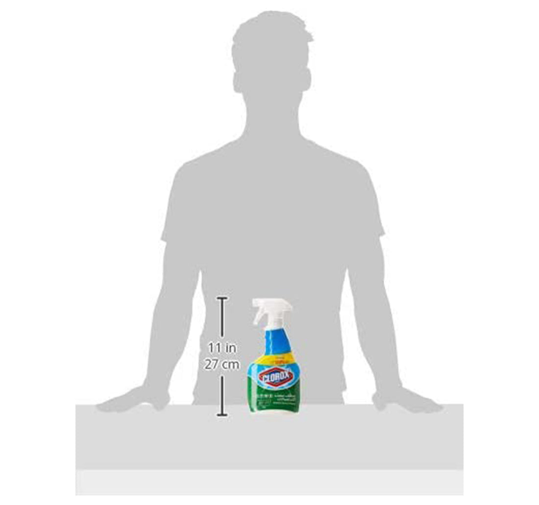 Clorox Multi-Purpose Cleaner with Bleach Value Pack 2 x 750 ml