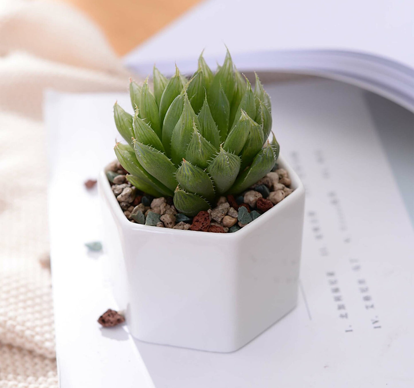 Maple Leaf 6pcs Flower Pot With Wooden Tray JL9115