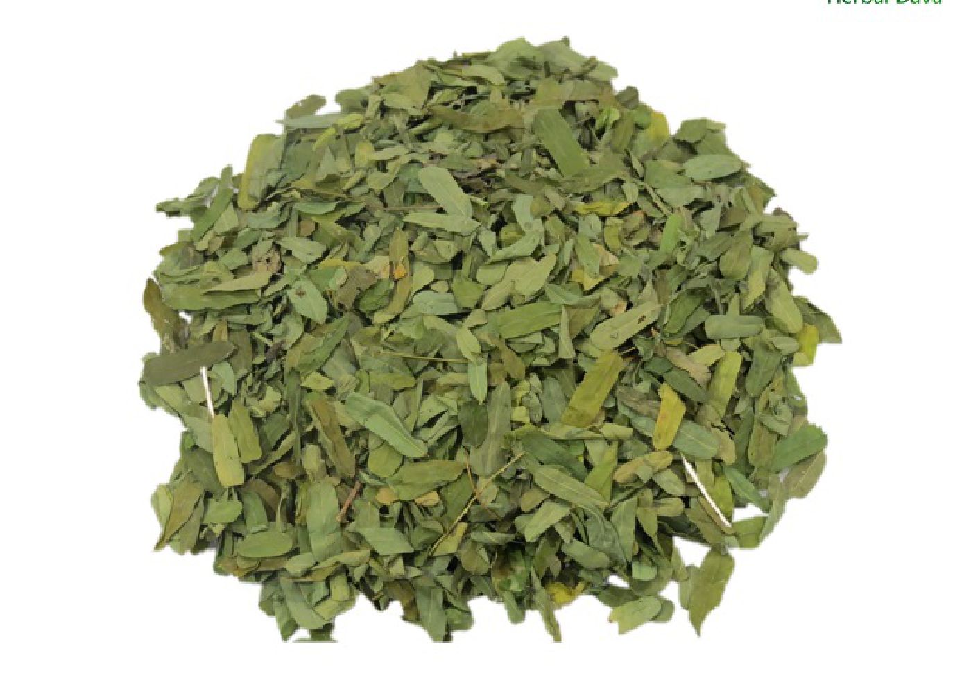 Chanoti Pan