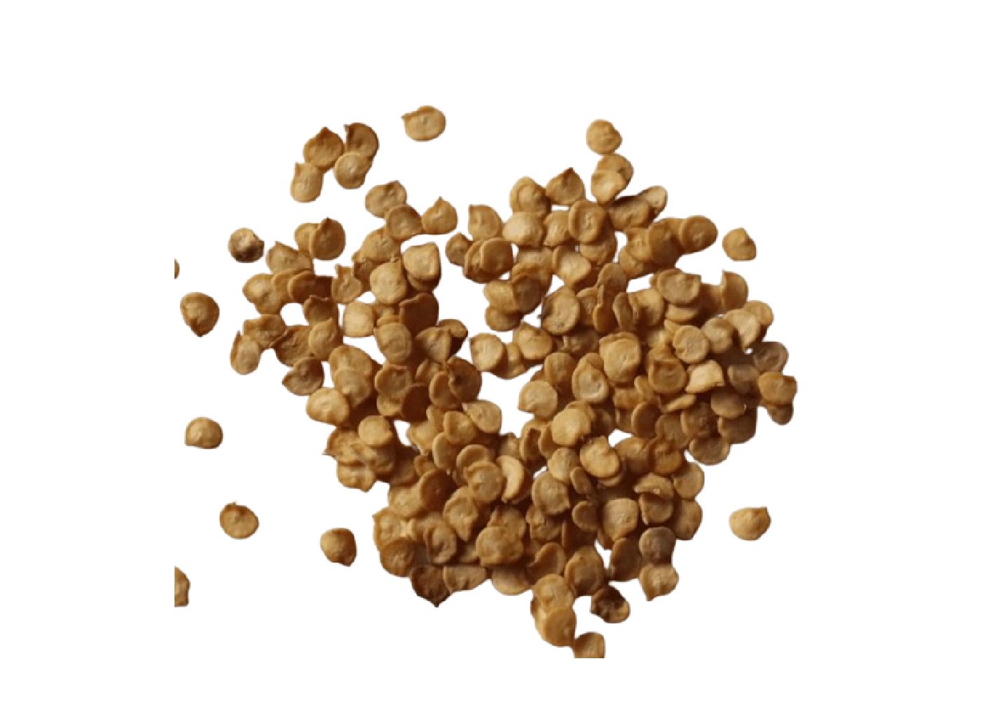 Chilli Seeds
