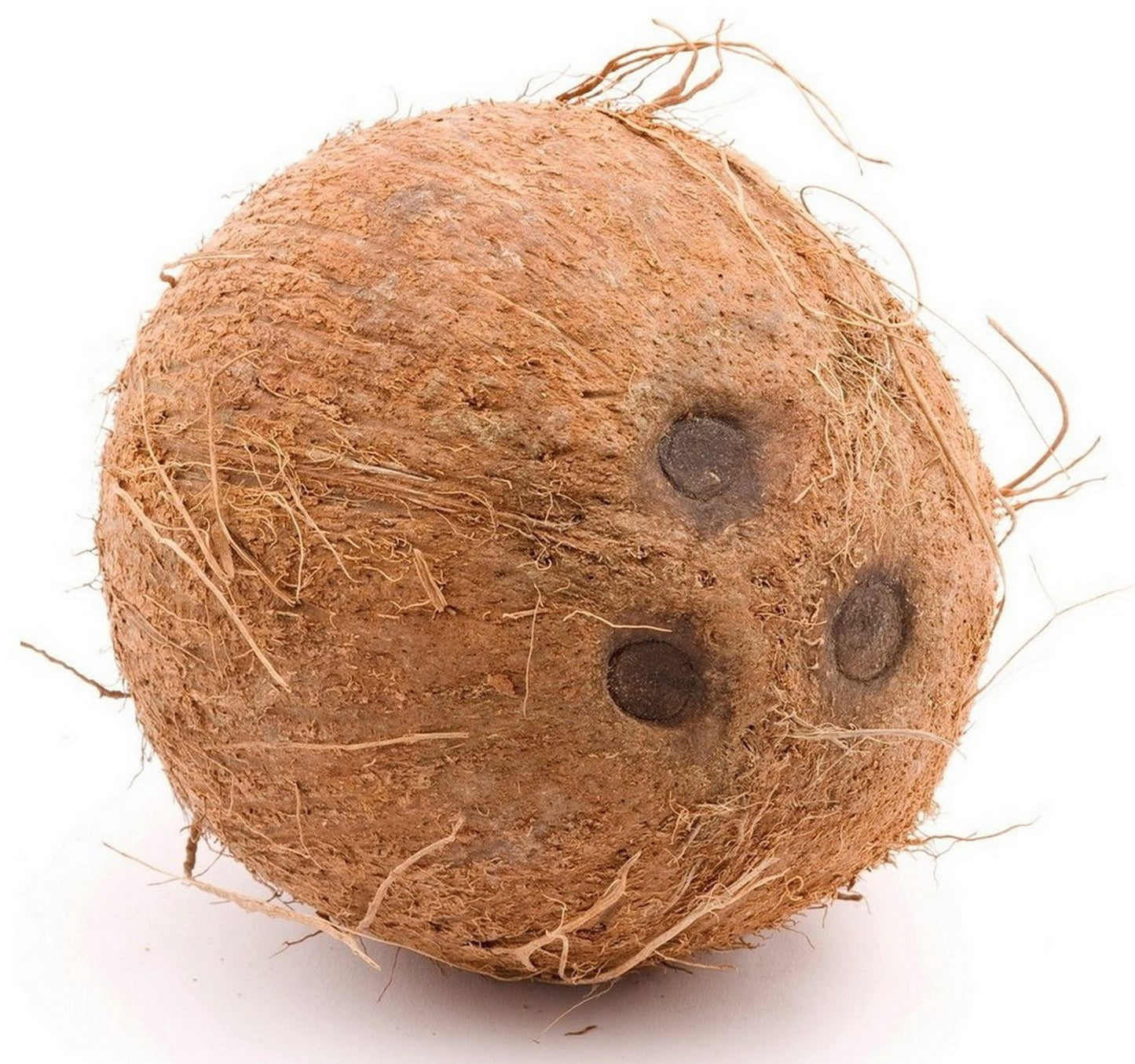 Coconut Whole India 1 pc