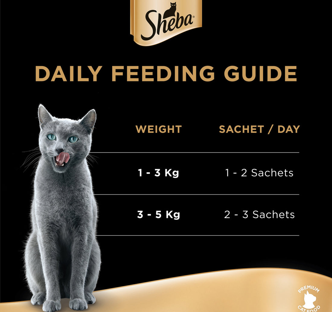 Sheba Creamy Treat Cat Food Tuna Flavour 48 g