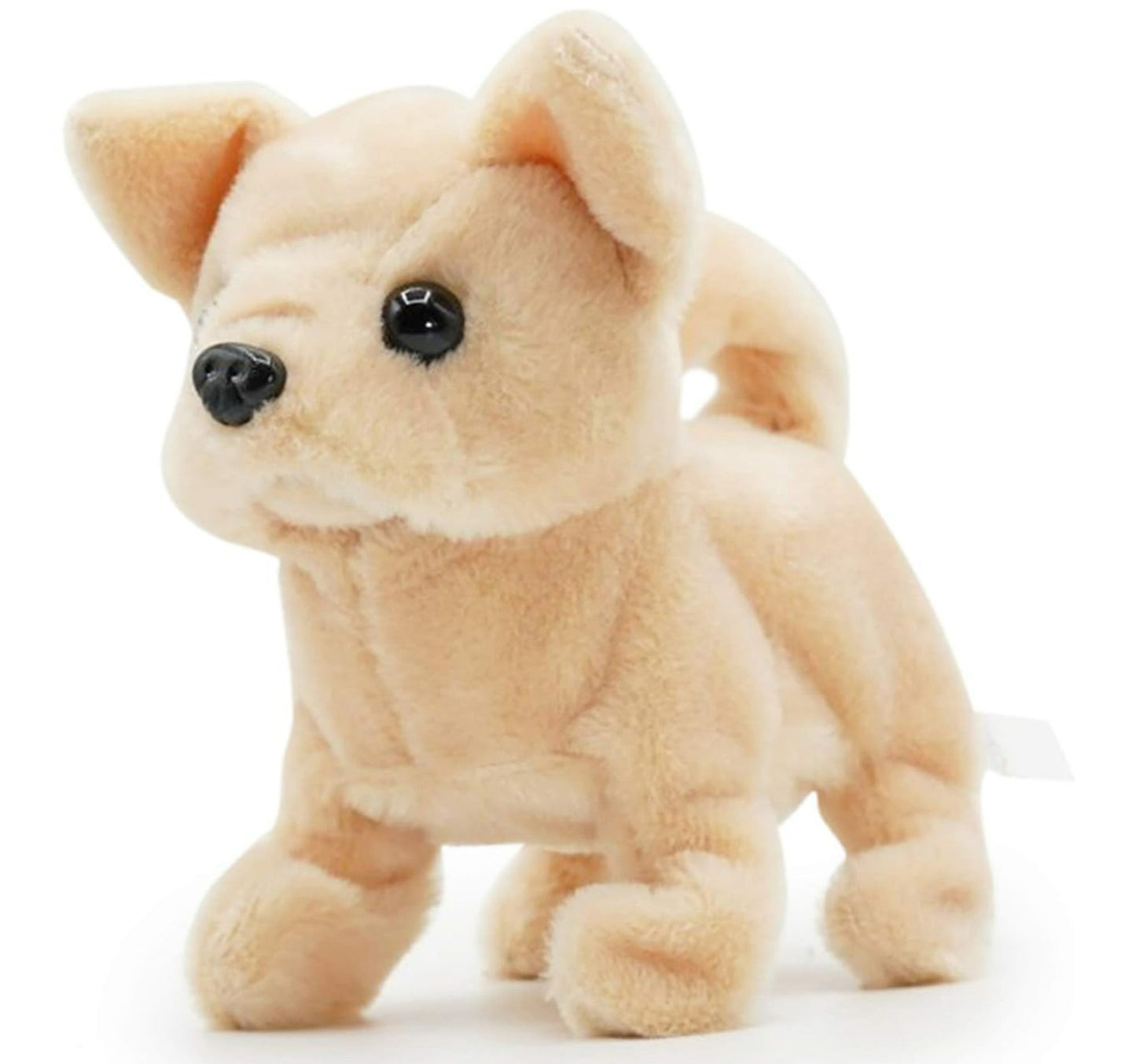 Pugs at Play Chili The Chihuahua Functional Dog, PAP01