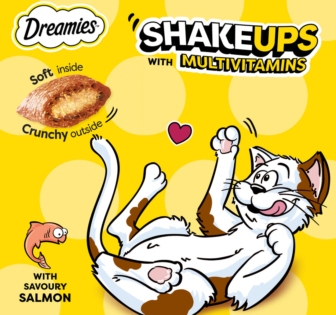 Dreamies Cat Treats with Savoury Salmon 60 g