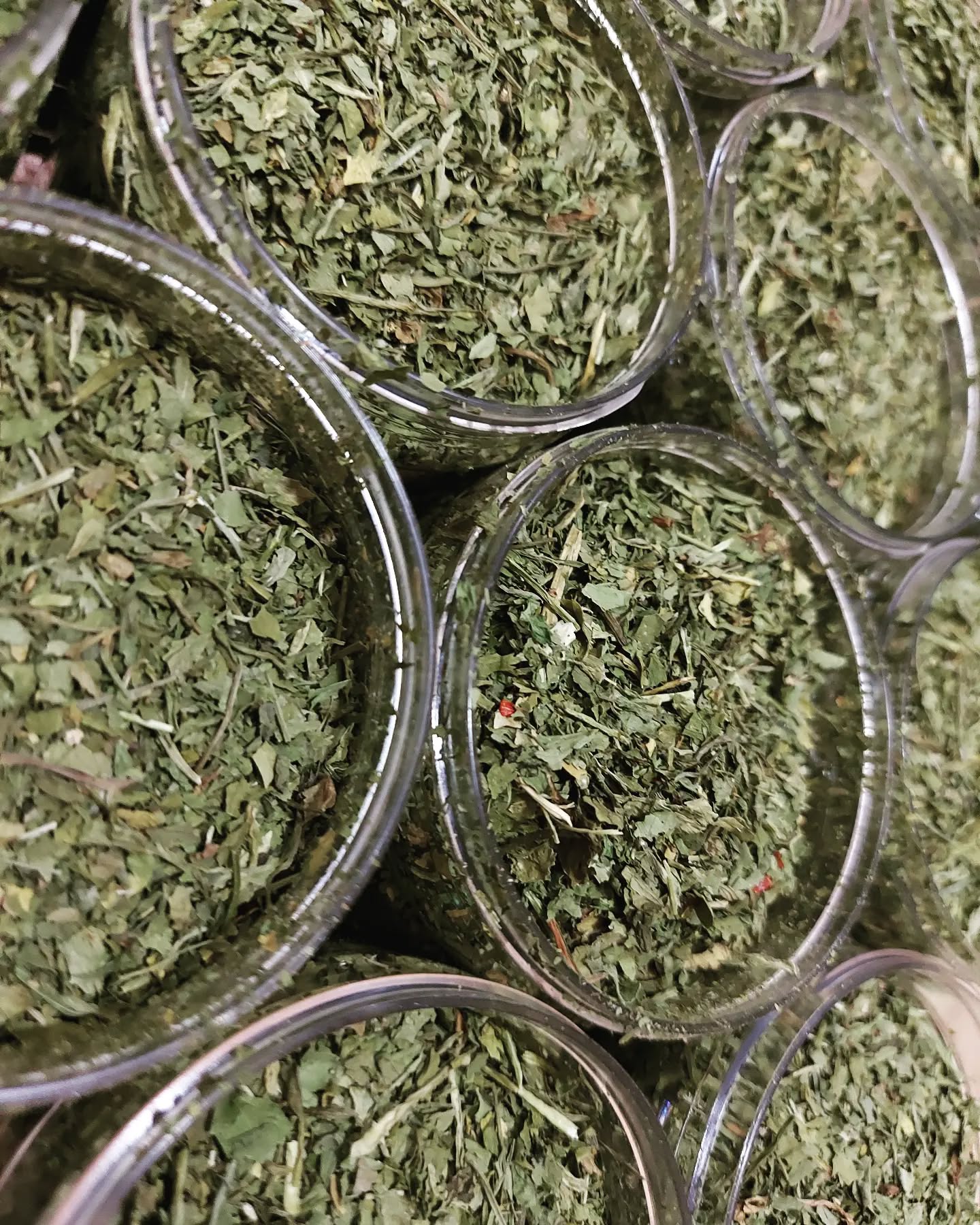 Dried Spice